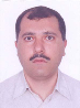 محمدرضا