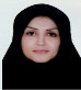 کارشناس رسمی دادگستری نوذر صفاپور