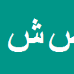 صدیقه