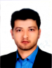 کارشناس رسمی دادگستری بهمن میرعباسی