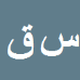 سیدامیررضا