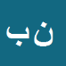 کارشناس رسمی دادگستری نصیر بیرانوند