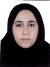 کارشناس رسمی دادگستری مریم السادات حسینی هنزا