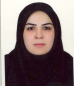 کارشناس رسمی دادگستری محبوبه رادمهر