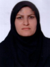 کارشناس رسمی دادگستری طیبه فیروز کلایی