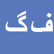 فاطمه گراوند
