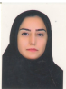 کارشناس رسمی دادگستری سارا کریمی زینکانلو