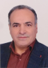 کارشناس رسمی دادگستری مسعود رهنما