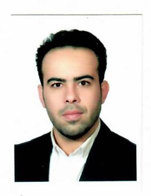 کارشناس رسمی دادگستری سعید مینائی آناقیزی