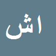 کارشناس رسمی دادگستری امیرعلی شمس